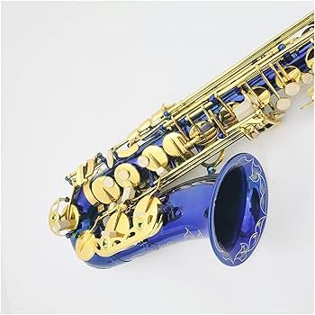 金色 サックス本体 ハードケース付き FORESTONE USED 中古 フォレストーン アルトサックス GX COGNAC