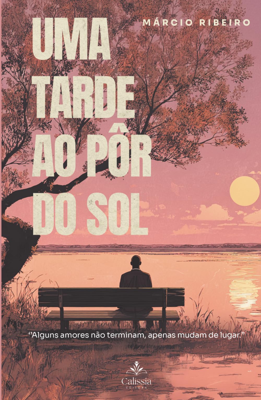 UMA TARDE AO PÔR DO SOL: Alguns amores não terminam, apenas mudam de lugar