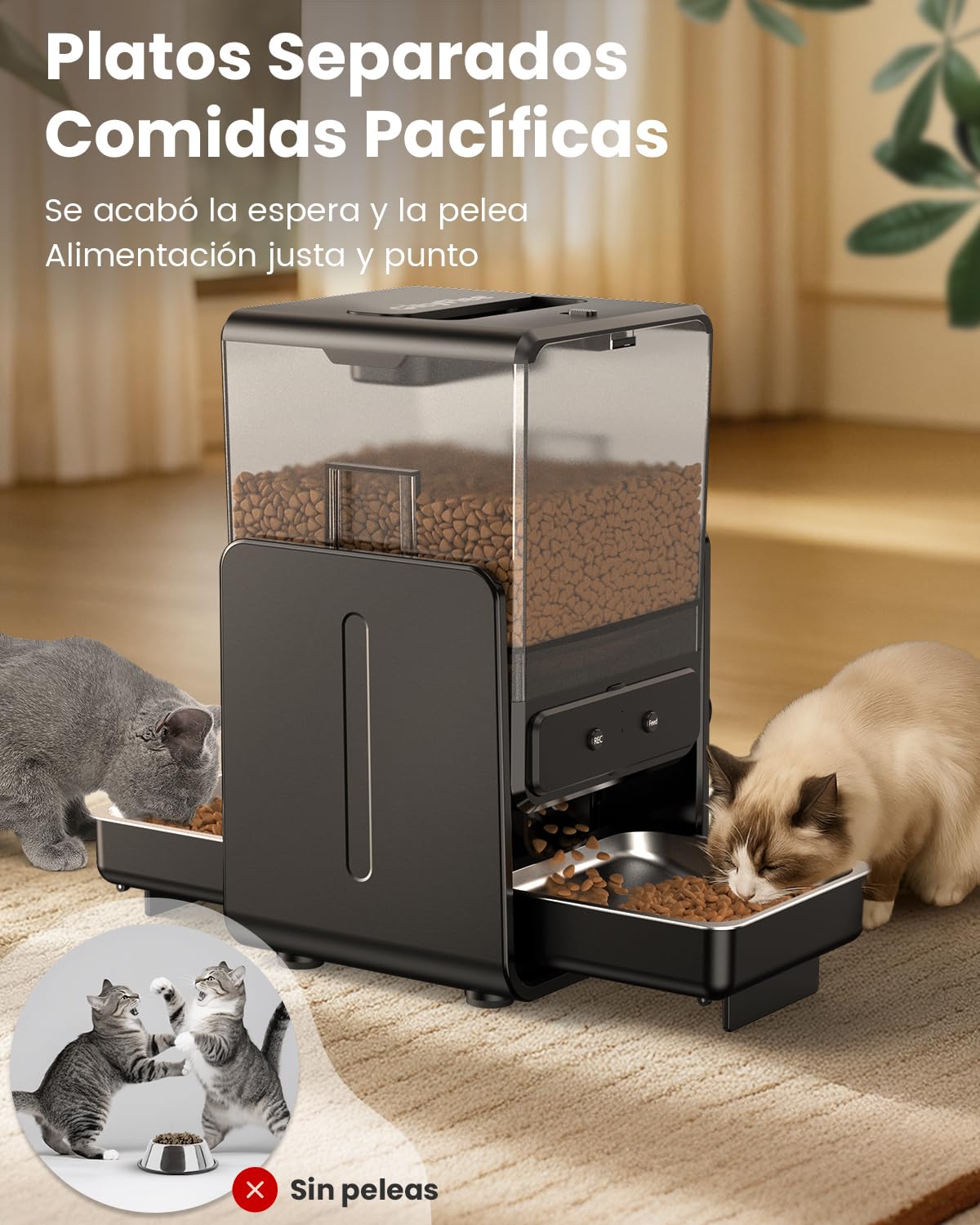 Comedero Gato Automatico con Control App para 2 Gatos, Altura Ajustable para Mascotas Pequeñas, Dispensador Comida Gatos de 5 litros para Alimento Seco, Grabadora de Voz