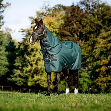 Horseware Ireland Amigo Ripstop 900D Plus Turnout 200g Dynasty Green 69