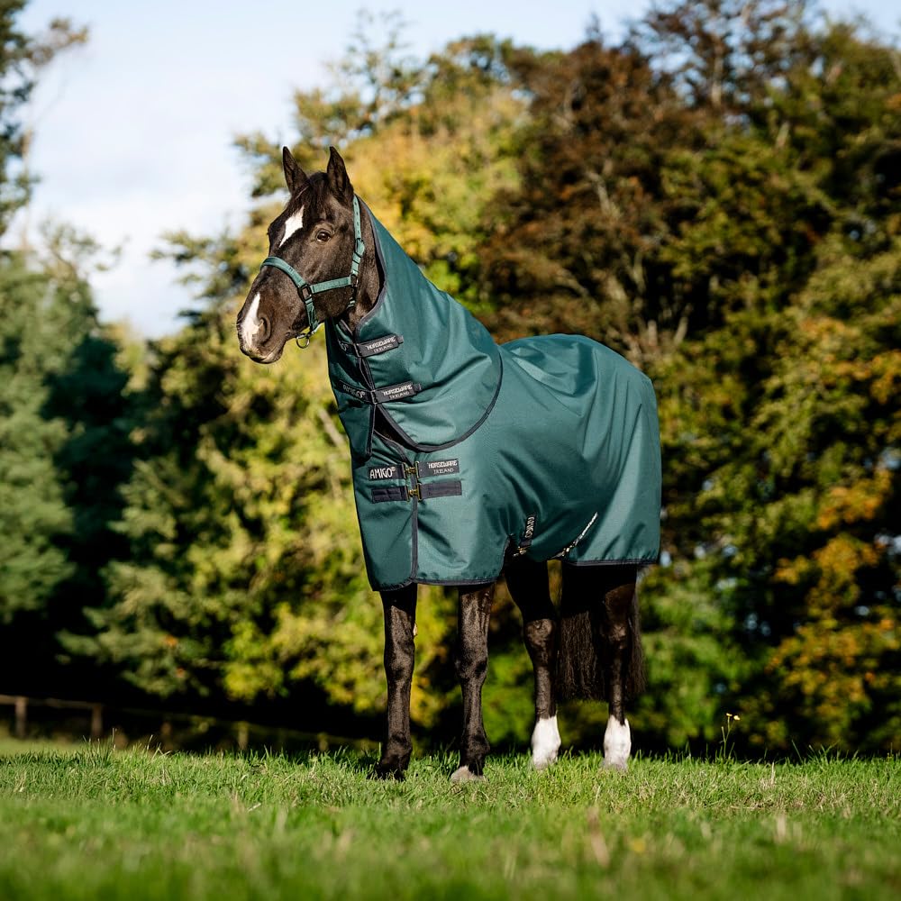 Horseware Amigo Ripstop 900D Plus Turnout 100g Decke Dynasty Green/Navy & Silver, Deckengröße:160 cm / 7´0