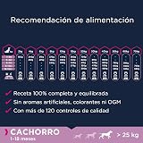 Ver la foto 6