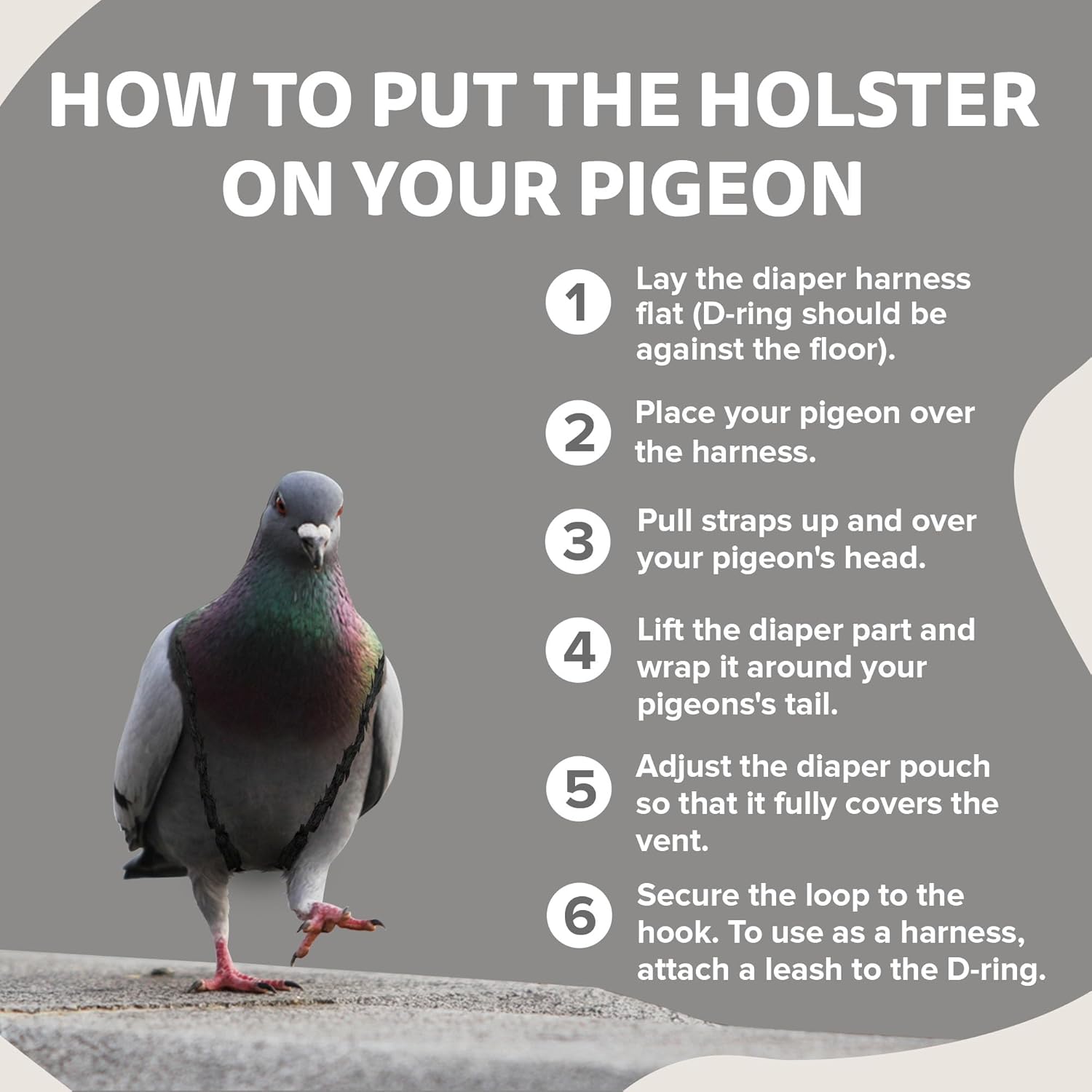 Hen Holster Premium Starter Kit - Bird Diaper, Wrap Around for Larger Pigeons, Small Breed Hens & Roosters - Leak-Proof, Comfortable Bird Harness with Sewn-in Liner & Hook & Loop Closure - XS, Gray