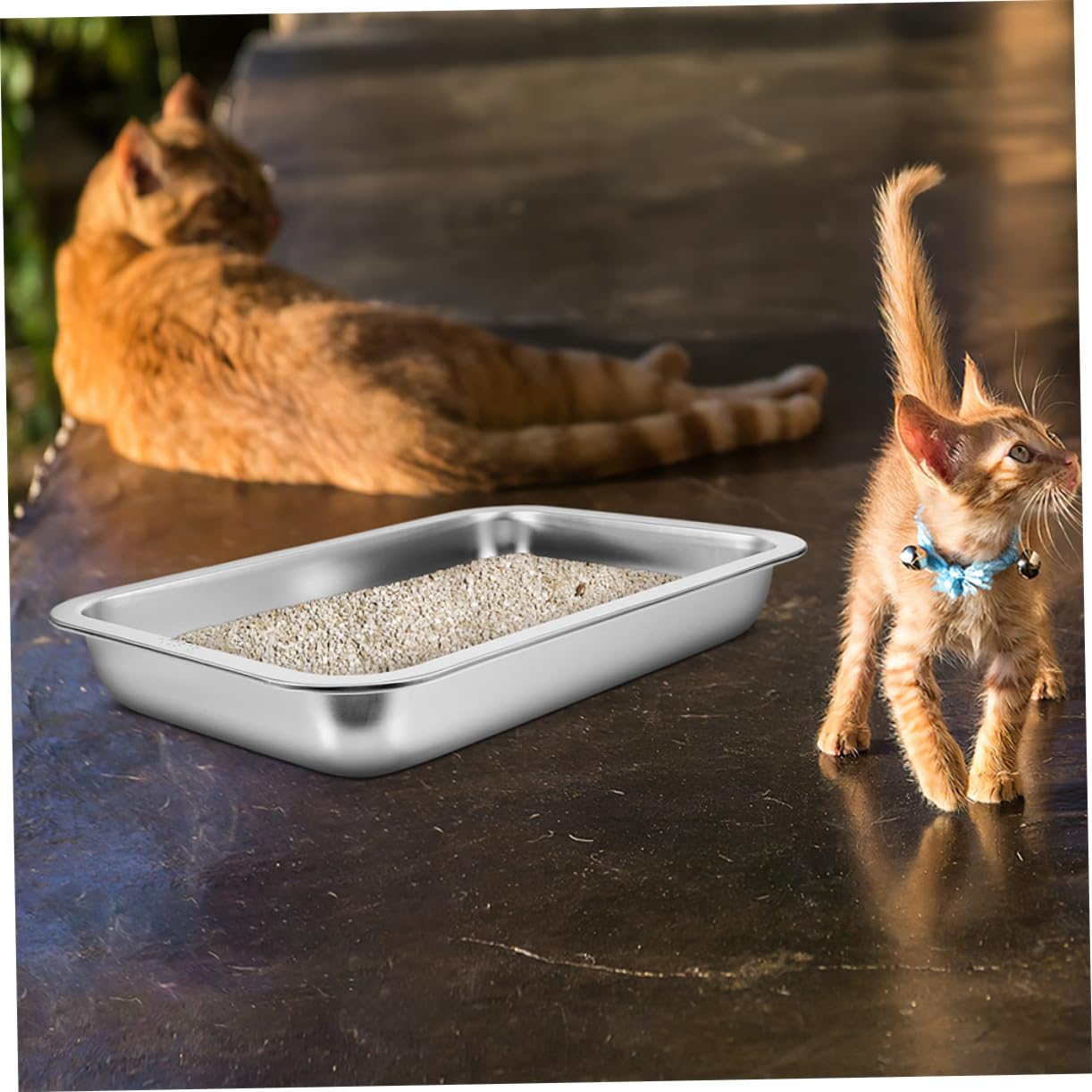 Milisten 2Pezzi Lettiera per Inossidabile da Design per Gattini Facile da e Antiruggine per Animali