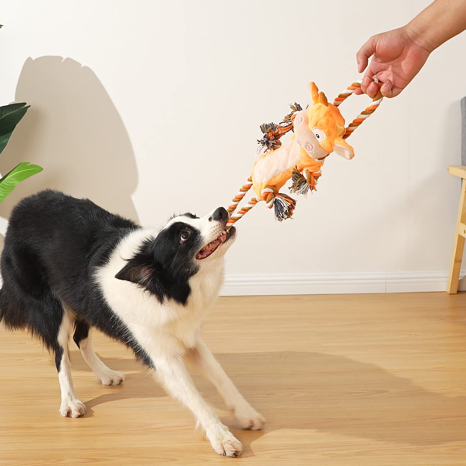 Sedioso Juguetes para perros, juguetes para perros de tira y afloja para razas grandes, lindo juguete interactivo chirriante con papel arrugado, juguete de peluche para perros pequeños, medianos y