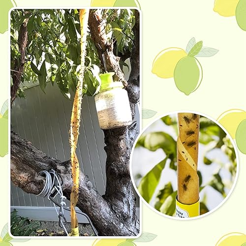 Vista 7 de Stingmon Paquete de 40 trampas adhesivas para moscas para interiores, trampas para moscas para colgar al aire libre, trampa para moscas de fruta, A1