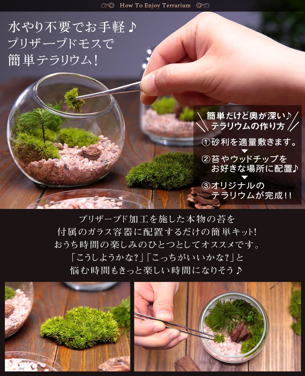 タマリウムブリザードグリーン新品10個セット匿名配送テラリウム