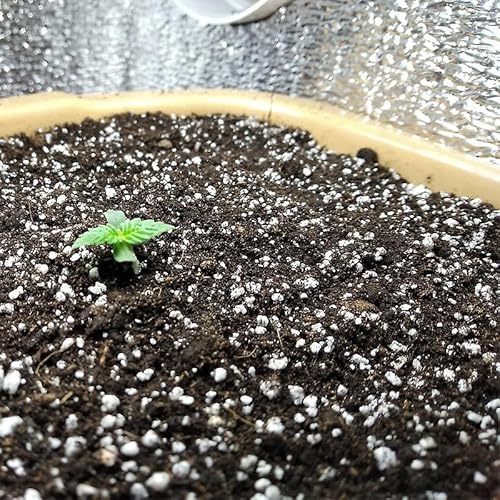 BIOVITA Perlit 10L - Perlite für Pflanzen zur Boden Substratverbesserung - 3-6mm - Bodenverbesserung - Feuchtigkeitsspeicher Substrat - Ideal für Garten & Zimmerpflanzen