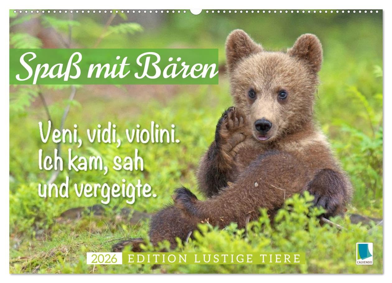 Spaß mit Bären: Edition lustige Tiere (Wandkalender 2026 DIN A2 quer), CALVENDO Monatskalender: Bären: Meister Petz, freche Sprüche und humorvolle Tierporträts (CALVENDO Tiere)