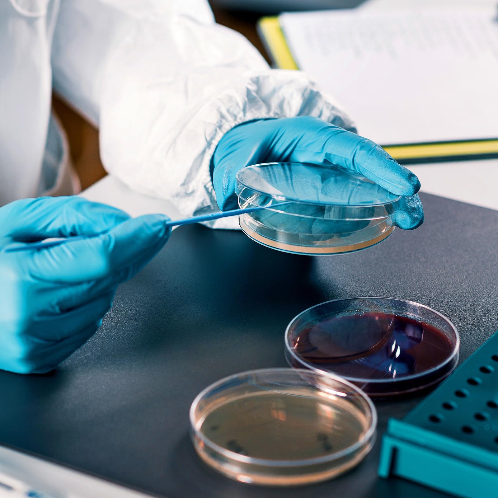 Placas de Petri Agar Prevertido 20 Piezas para Cultivo de Tejidos en Laboratorio, Material Microbiológico Crecimiento Rápido para Experimentos Científicos