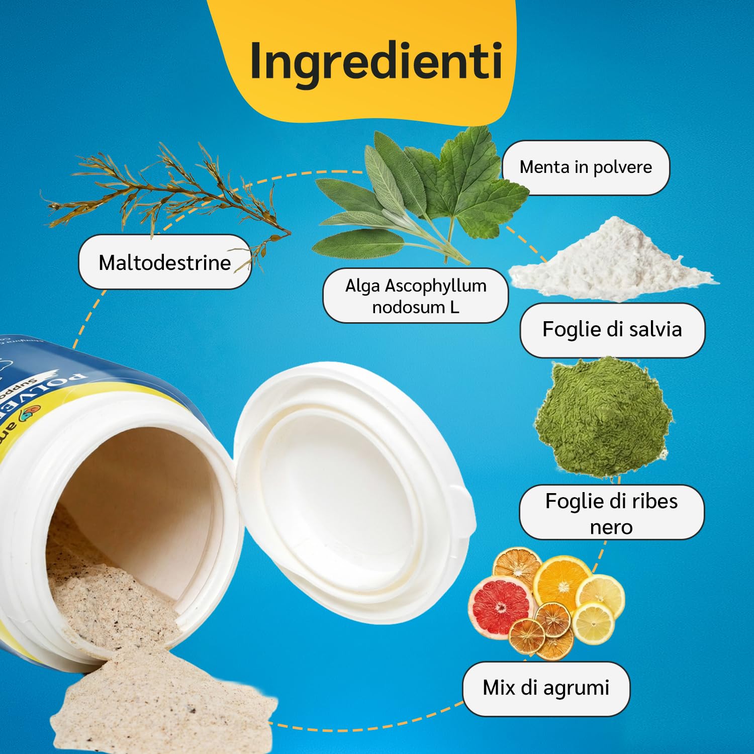amusi Igiene Orale + Articolazioni per cani: Dentifricio in Polvere 60g con Ascophyllum e Menta per Denti e Alito + Integratore 125 Compresse con Glucosamina, Condroitina, MSM e Curcuma