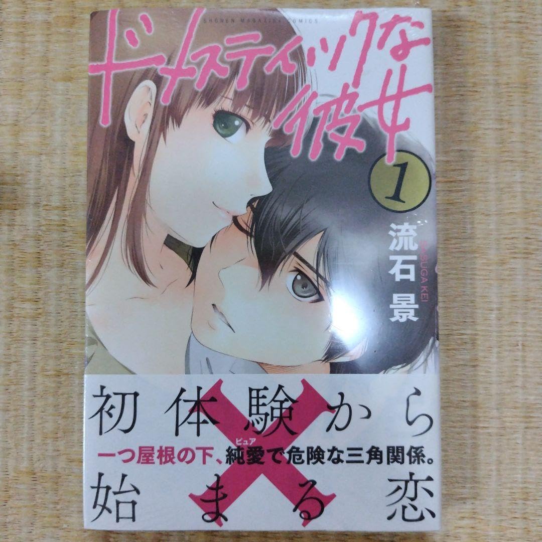 ドメスティックな彼女　全巻　流石景　特典付き ドメスティックな彼女 全巻 流石景 特典付き ドメスティックな彼女