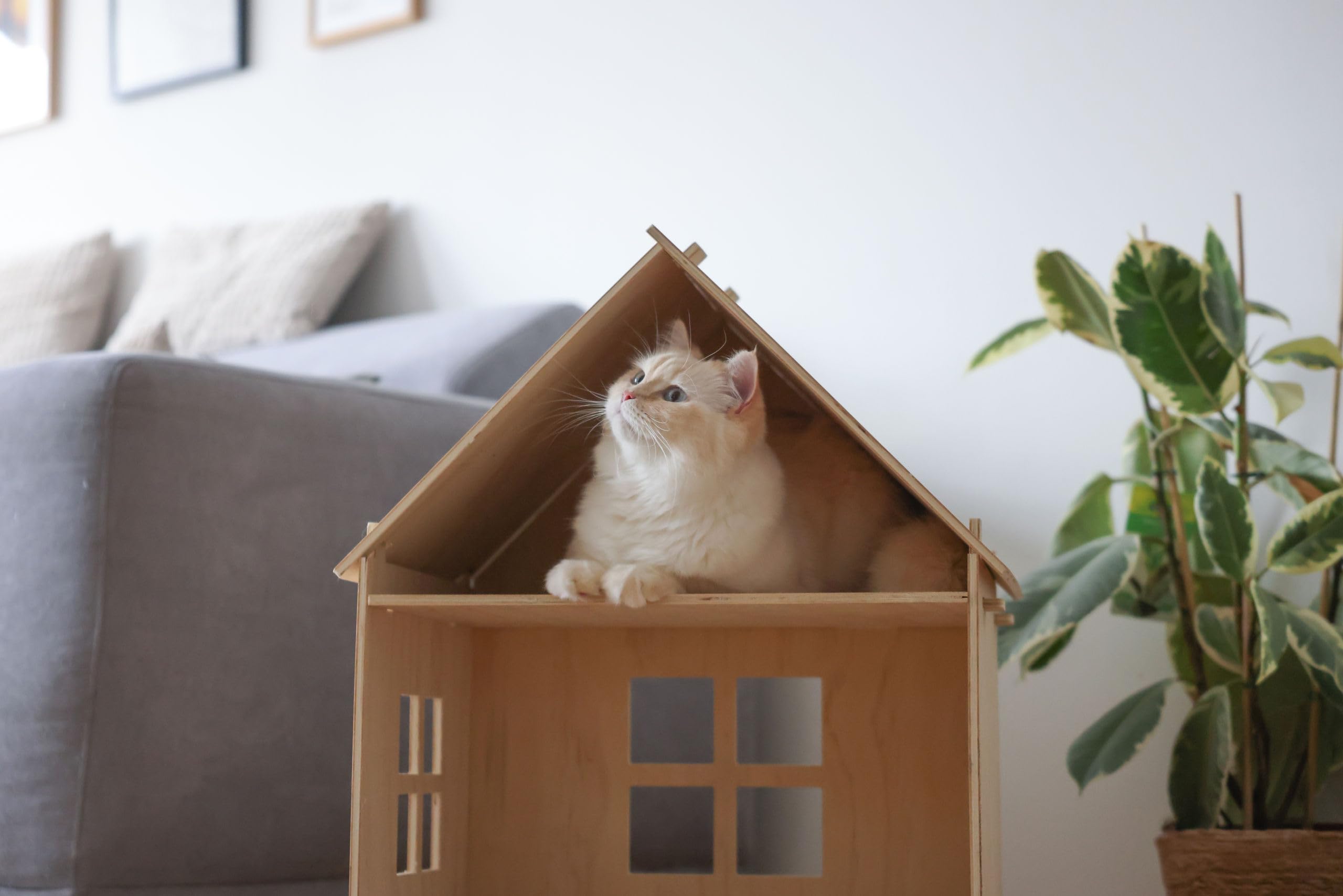 KERBL PET Casetta gatti Yvi, Indoor, 50x38x67 cm