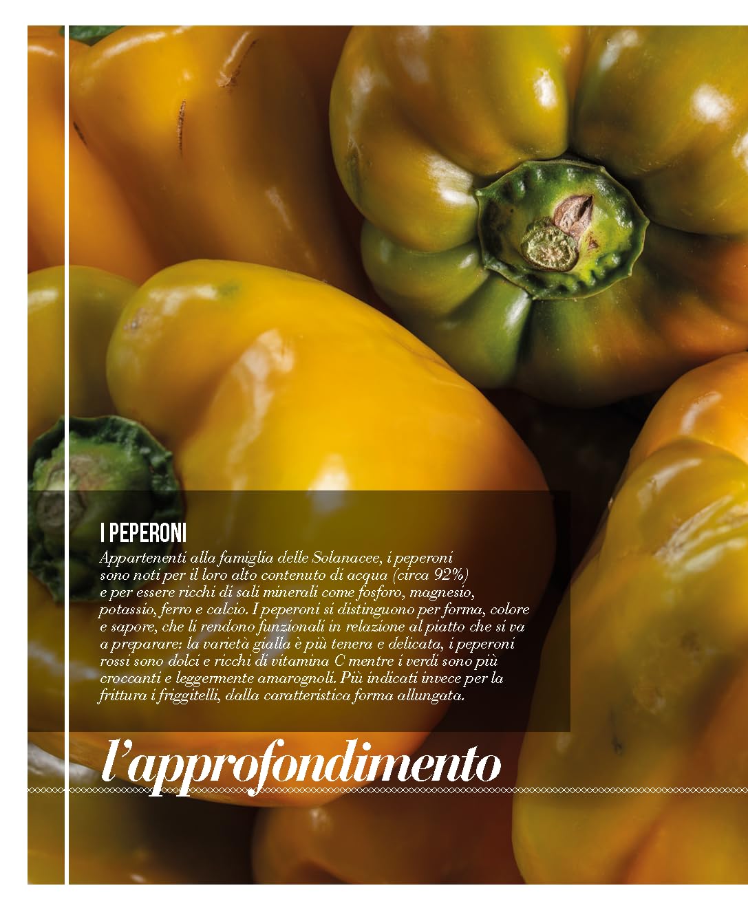 Il piatto unico nella cucina contemporanea
