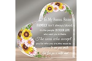 Sentimental Sister Gift from Brother: Acrylic Heart Keepsake and Paperweight