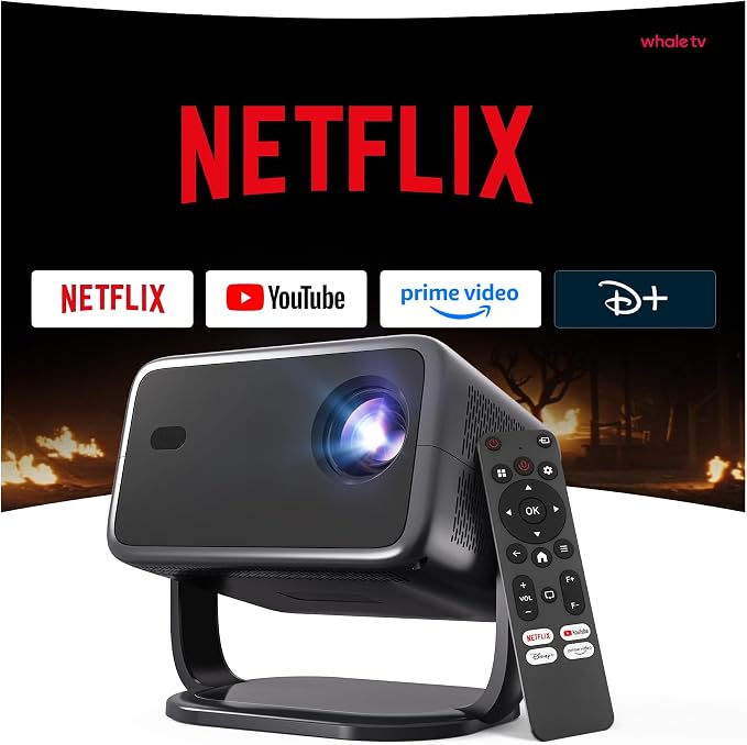 Netflix Mini Projector 4K Support