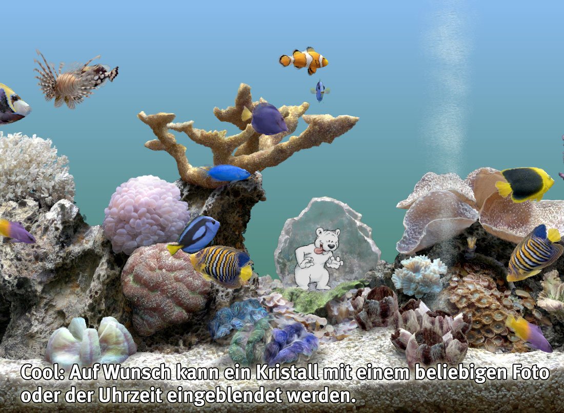 Marine Aquarium 3 Deluxe