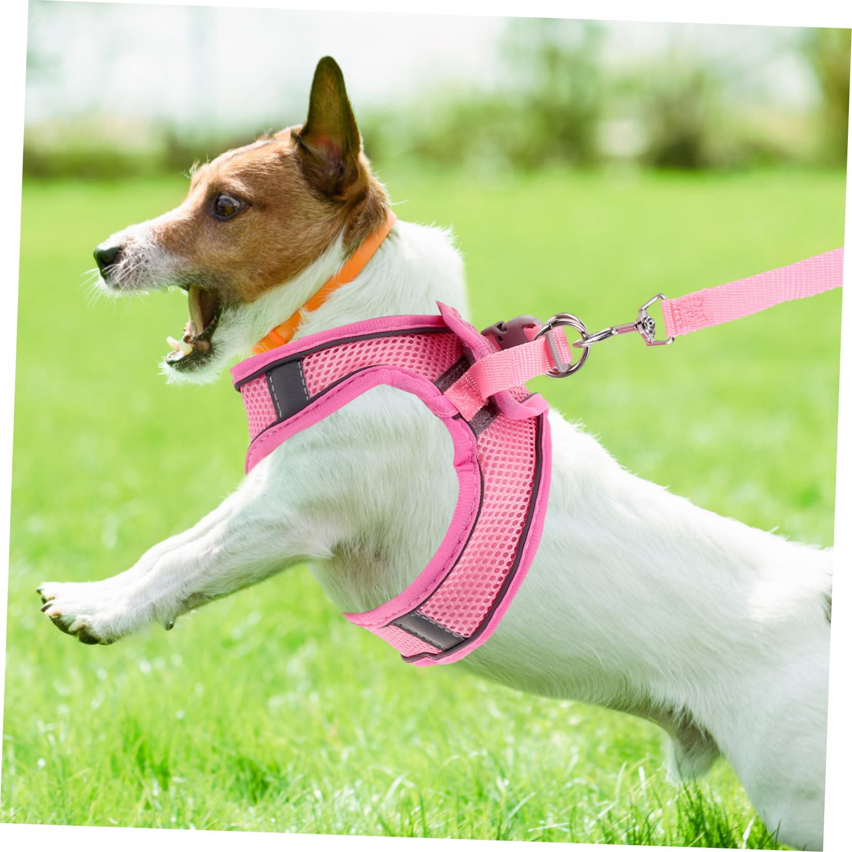 INOOMP 5juegos Arnés y Reflectante para Arnés Transpirable con Leash para De Verano para