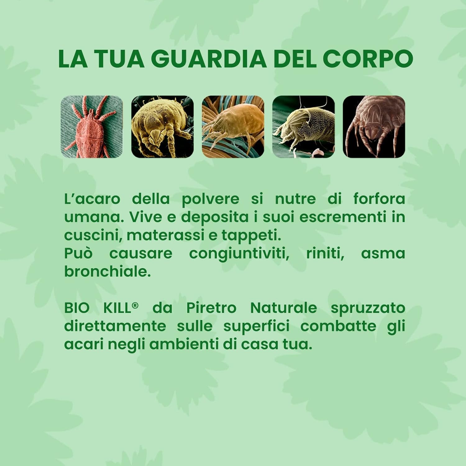 Biokill Insetticida Biologico di Piretro Naturale a Base Acquosa - Flacone Ricarica da 1 litro Bio Kill