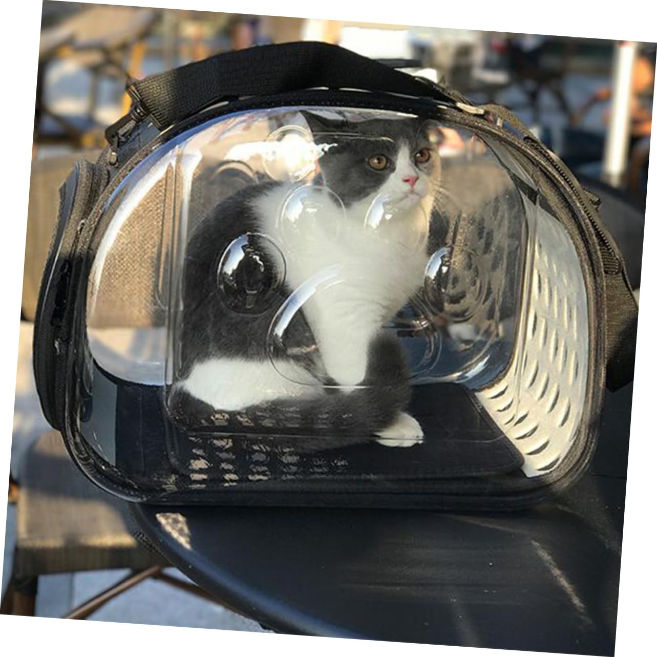 Trasportino Zaino per Gatti e Cani Pieghevole Nero in Pvc