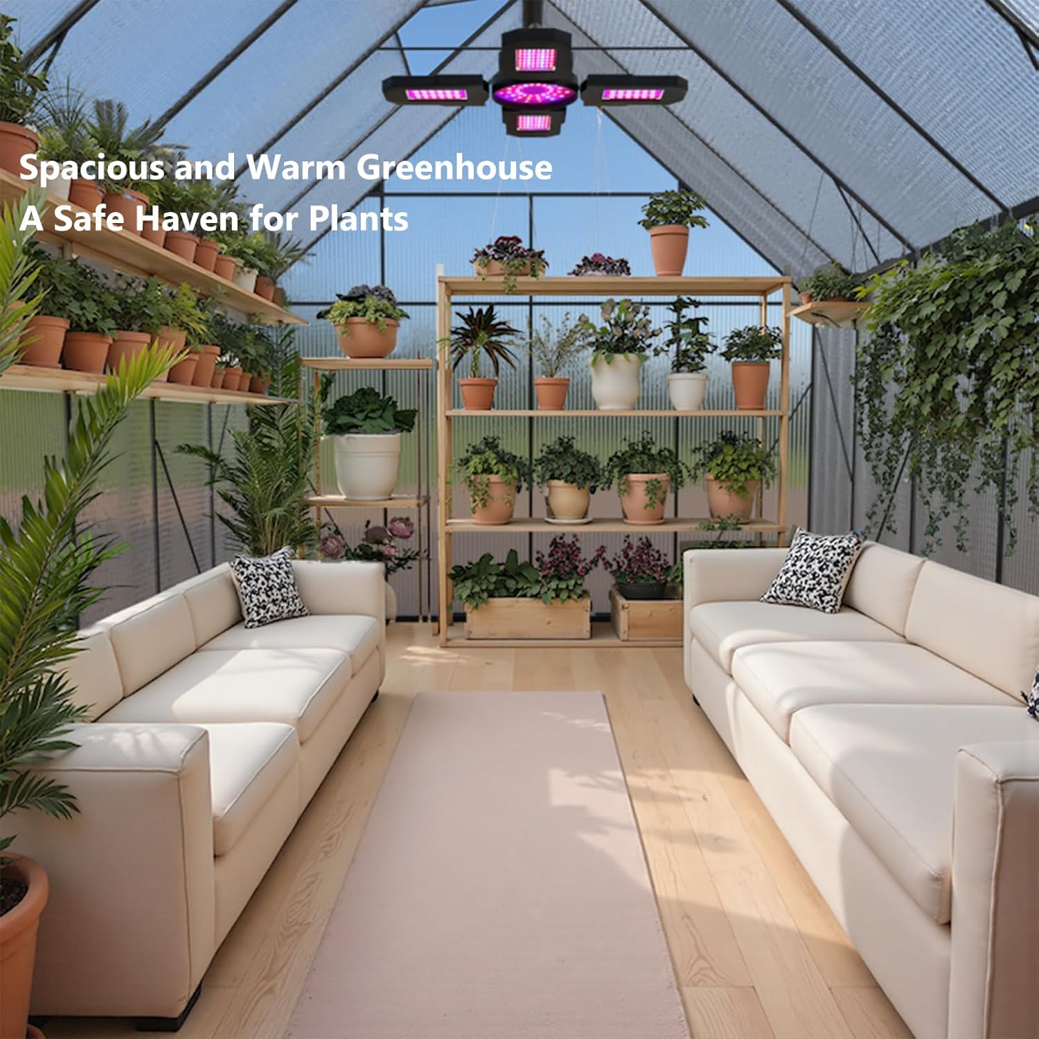 Spacious interior of the greenhouse with plants and seating, demonstrating its potential as a safe haven for plants and a leisure area