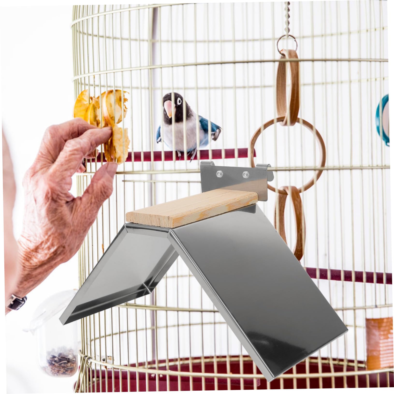Kisangel 6 Piezas Percha para Palomas Soporte para Loros Soporte para Descanso Estante De Entrenamiento para Loros Juguete para Mascotas Jaula para Pájaros Percha Accesorios para