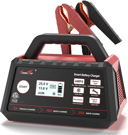 Automotive Battery Chargers & Portable Power