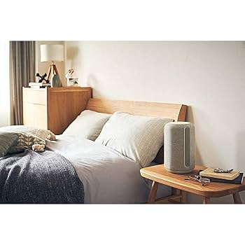 SRS-RA3000 (H) [ライトグレー] Amazon.com: Sony SRS-RA3000 360 Reality Audio Wi-Fi