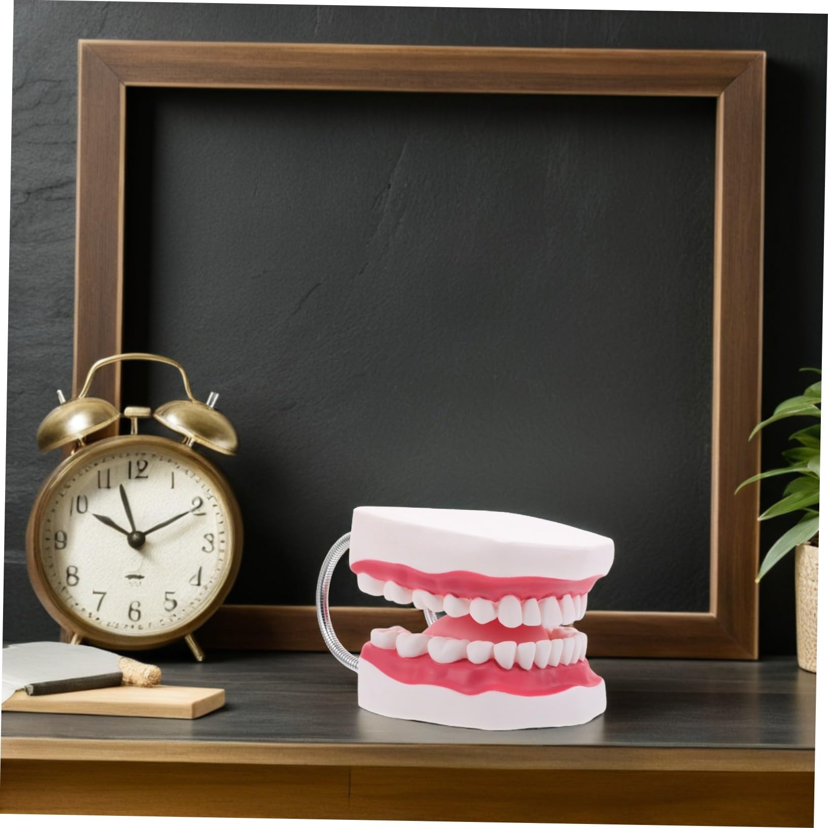 Modello Denti Adulti 56x Ingrandito in Pvc per Pratica Orale | Struttura Integrata Mascella Superiore e Inferiore, con Lingua, Adatto a Formazione Clinica e Dimostrazione
