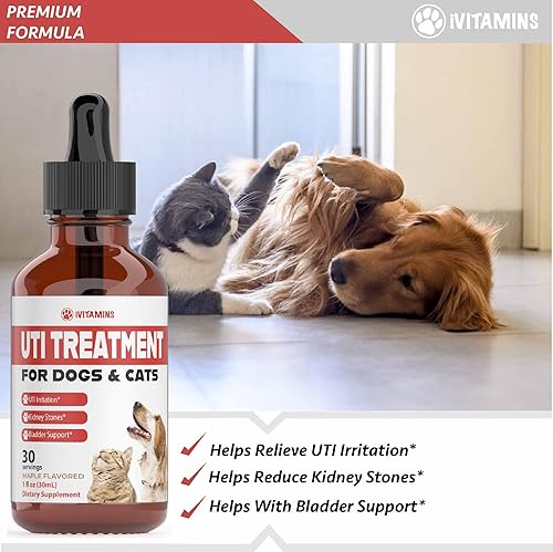 Miniatura 7 de Tratamiento de infecciones urinarias para perros  Medicina UTI para gatos  Calabaza para perros  Suplemento de arándano para perros  Calabaza para
