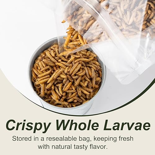 Miniatura 5 de Adaman Larvas secas de mosca soldado negro, 5 LBS-100% larvas BSF naturales, más calcio que gusanos secos de harina para pollos con alto contenido