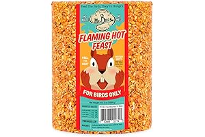 Mr. Bird Flaming Hot Feast: The Ultimate Seed Cylinder for Wild Birds