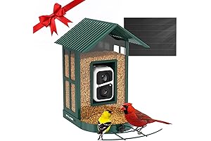 Birdbuddy Feeder Intelligent Real Bird Species Identification with AI Tech, Wireless Solar...