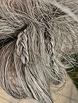 Review Image by Mousy Mousy