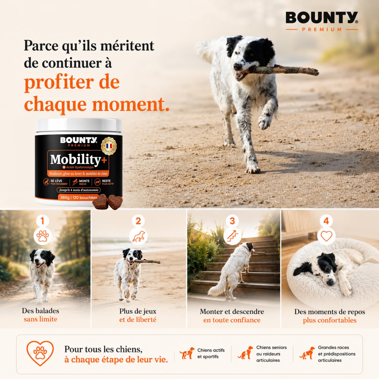 Mobility+ Complément Articulaire Chien – Arthrose & Douleurs Articulaires – 7 Actifs : Glucosamine, Chondroïtine, Collagène, Acide Hyaluronique, MSM – Senior & Grande Race – 120 Bouchées