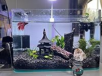 Review Image by H. Piantini H. Piantini