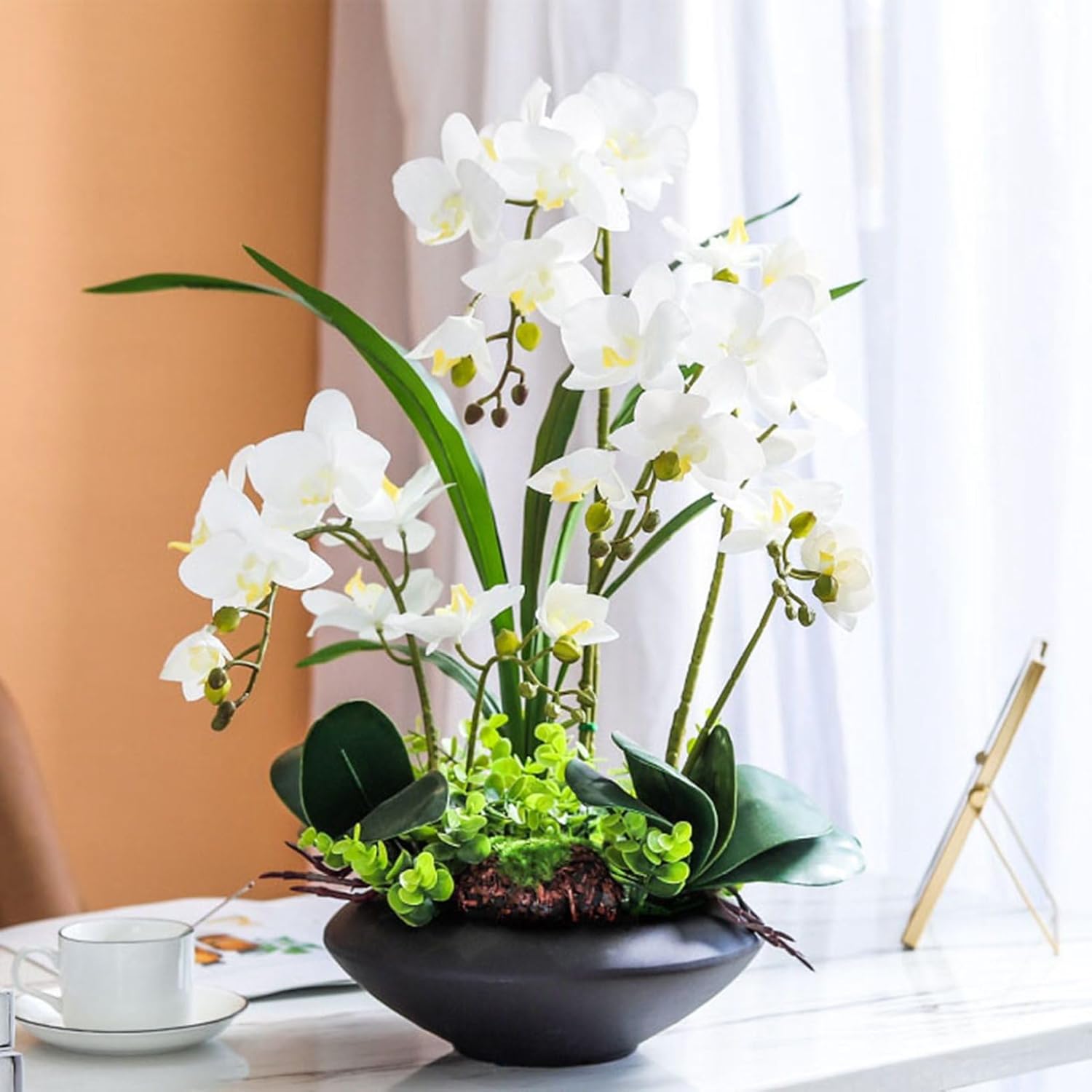 ベストボディジャパン 公式 決勝ビキニ アイボリー XS ベストボディ