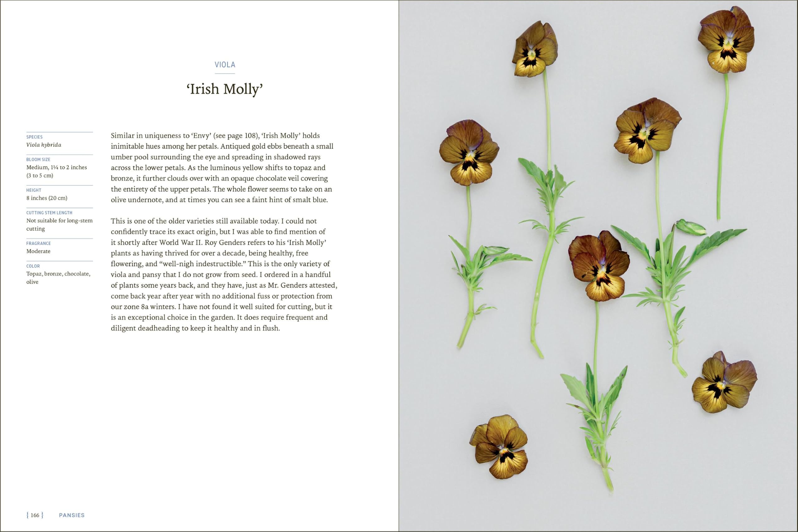 Pansies: How to Grow, Reimagine, and Create Beauty with Pansies and Violas