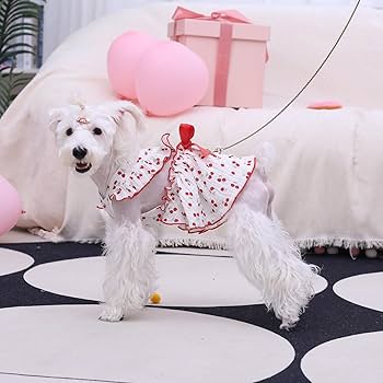 Amazon.com : CuteBone Cotton Dog Dress Cherry with Leash