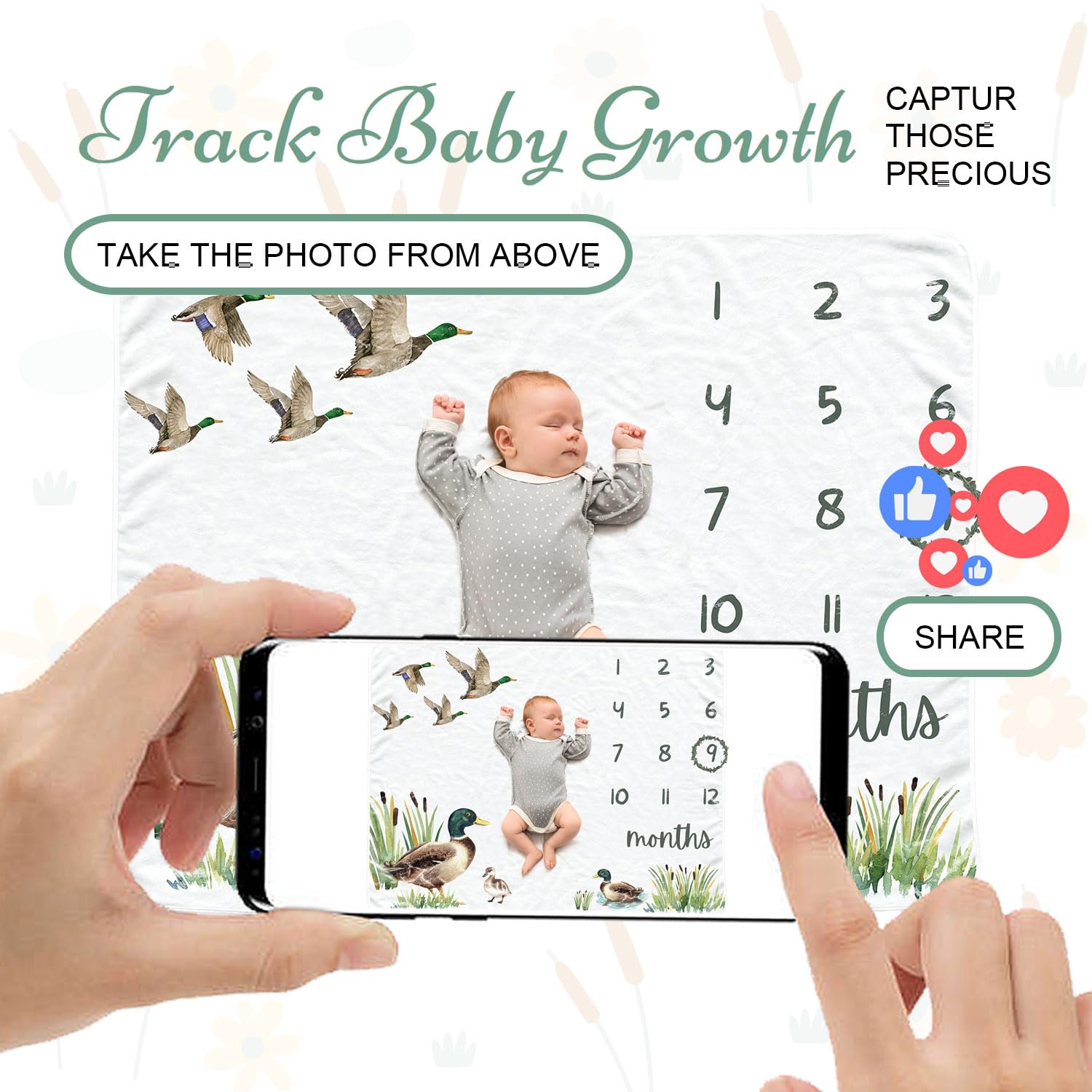 Mallard - Manta mensual para bebé para niños y niñas, manta de mes de recién nacido, manta de franela suave para fondo de fotografía, regalo de ducha personalizado, color verde azulado