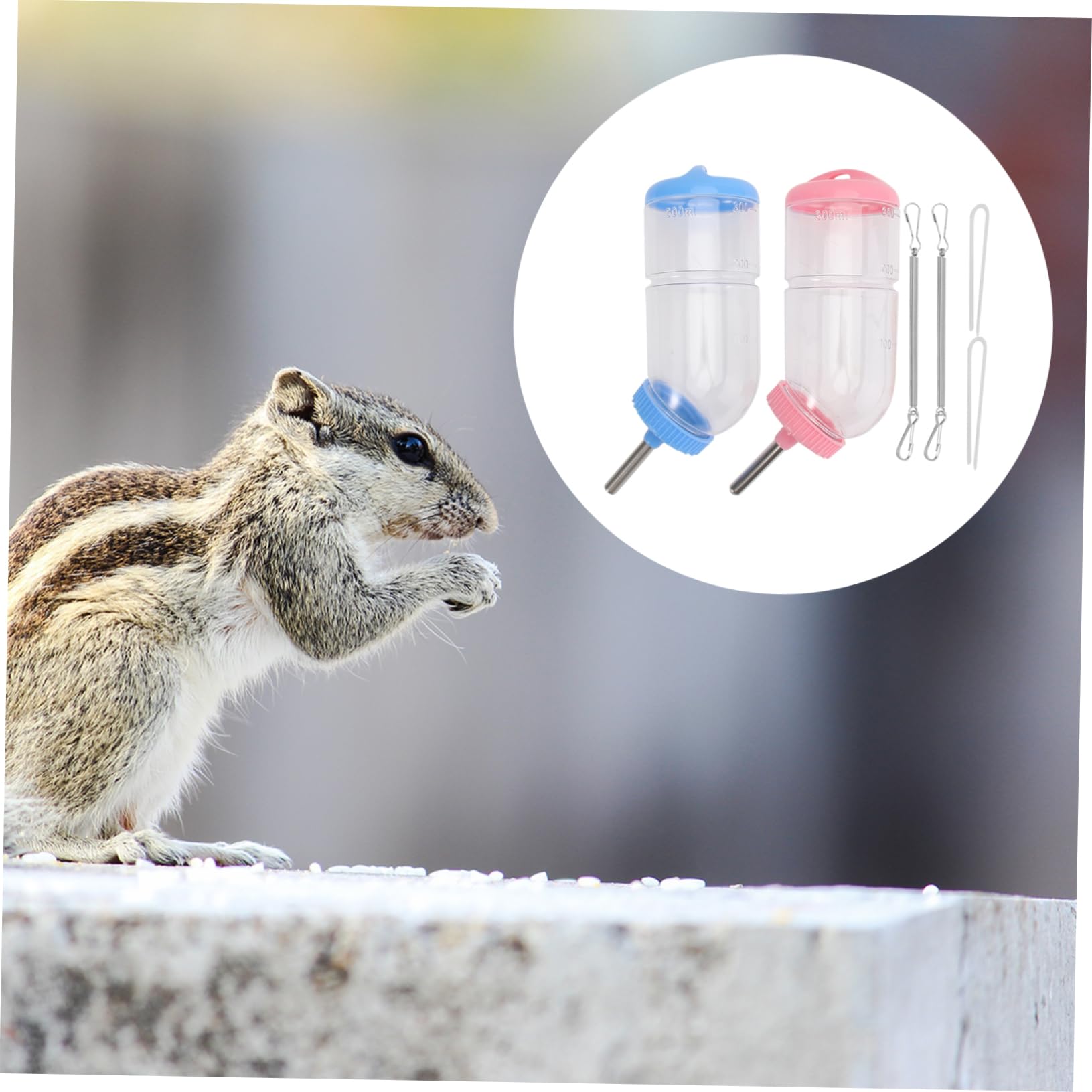 Housoutil 6pezzi Dispenser Per Piccoli Animali Di Bottiglie Impermeabili Per Conigli e Criceti Materiale e Resistente Agli Animali Facile Monitoraggio Del