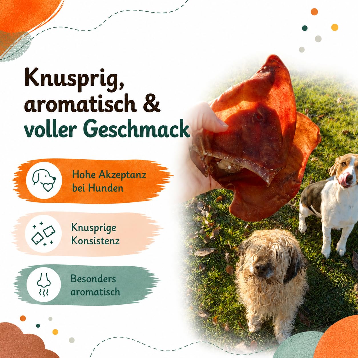 Lot de Oreilles de Porc pour Chiens 1kg, Environ friandises à mâcher 100% Naturelles sans Produits Chimiques, sans céréales, Article à mâcher pour Petits et Grands Chiens, Lucze