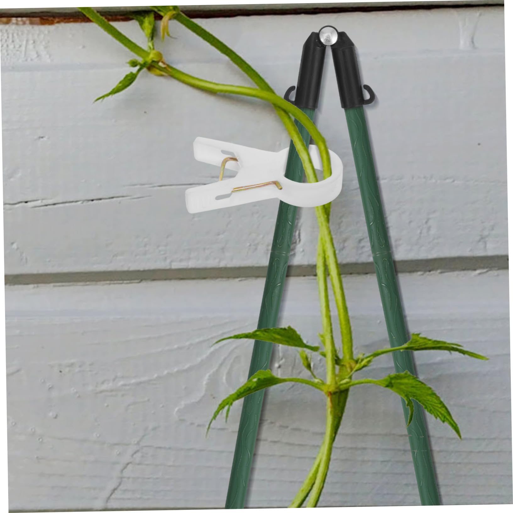 Clips de Soporte para Plantas 100 Piezas Plástico Blanco para Enredaderas