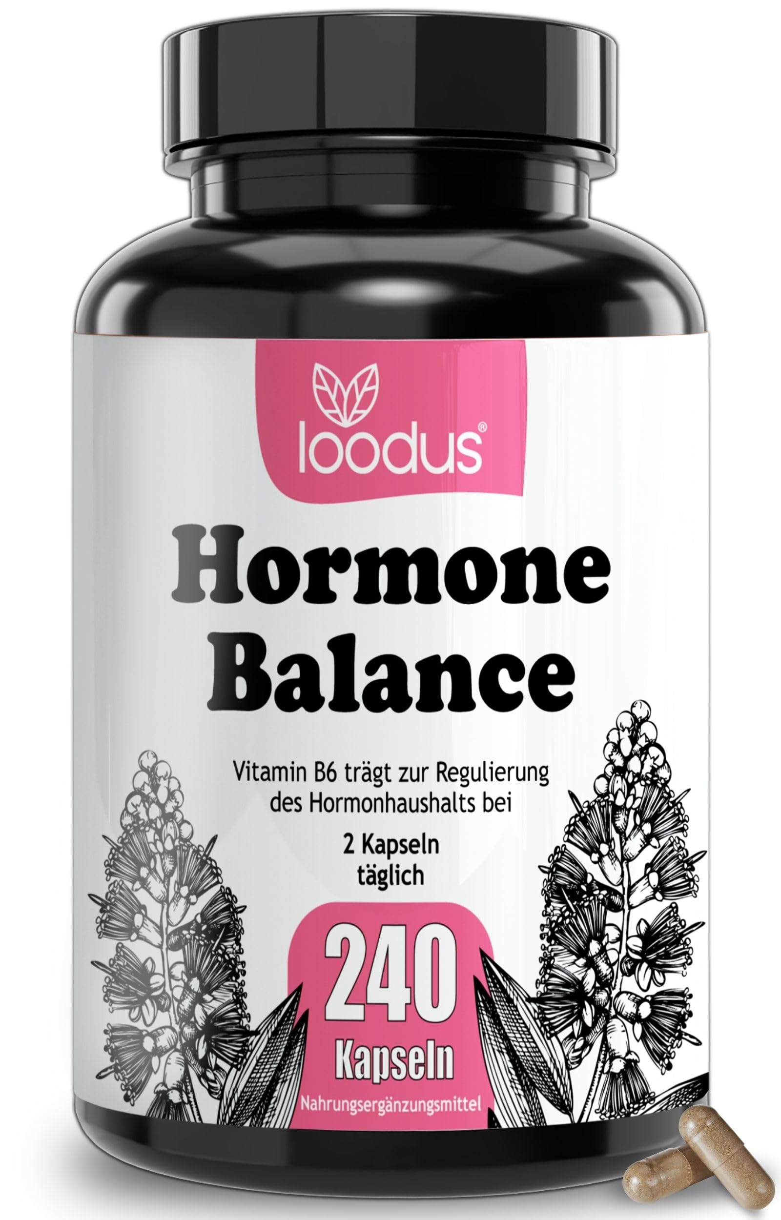 Hormon Balance Frauen PMS Kapseln - Myo-Inositol Mönchspfeffer hochdosiert | 240 PMS Komplex Hormone Balance Kapseln - Myo-Inositol OPC Gänsefingerkraut Acetyl-L-Carnitin Frauenmantel Mönchspfeffer & B6
