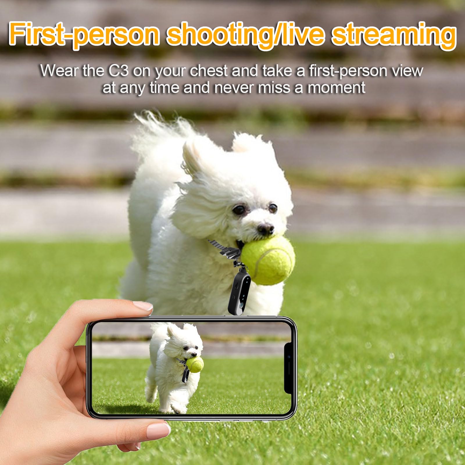 Pet Camera Collar, 1080P 120° grandangolare per gatti con fotocamera, registrazione video con scheda SD da 32 G, fotocamera USB ricaricabile per cani e gatti