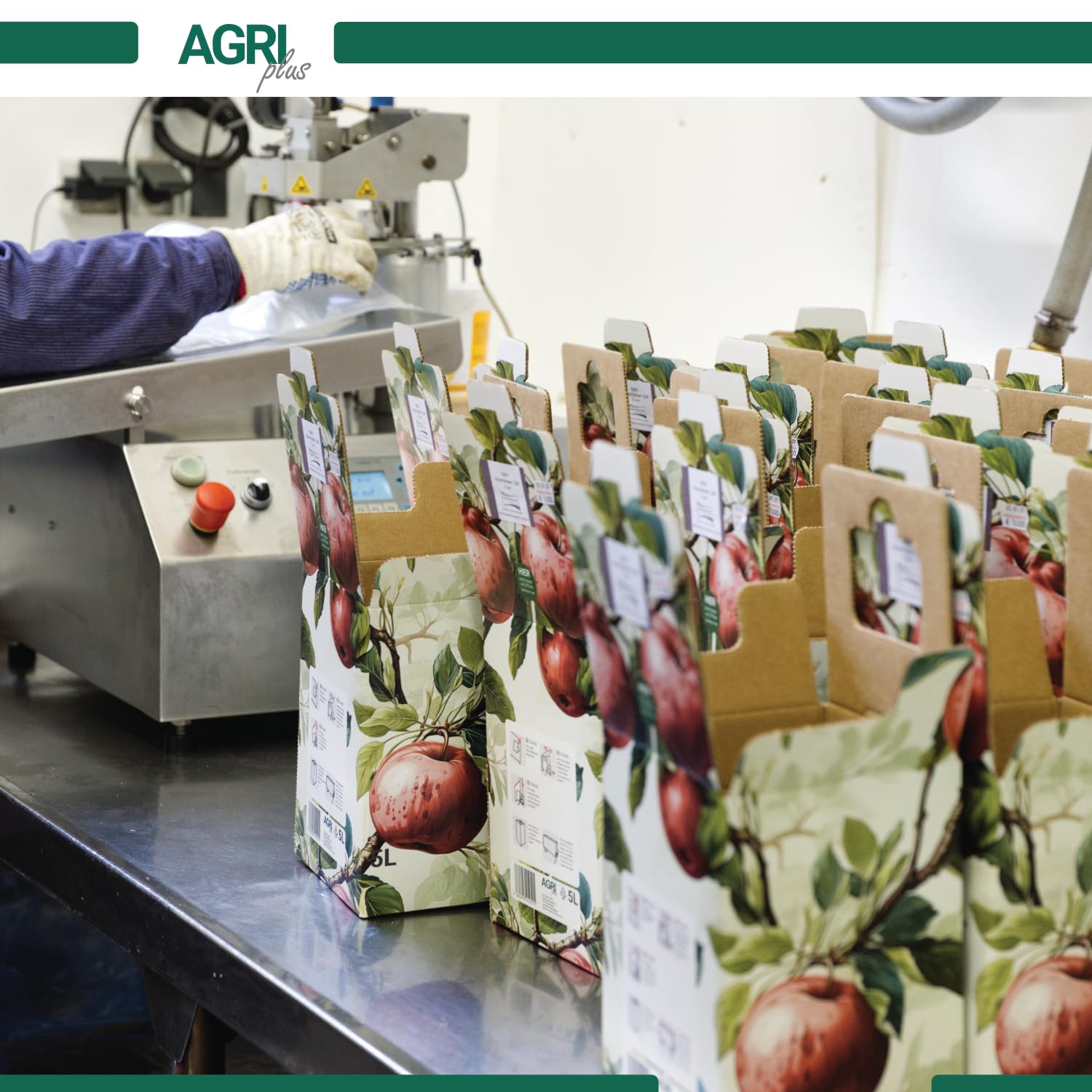 AGRI Plus Bag-in-Box Lot De 10 Sacs à Jus De 3 Litres Avec Motif Pommes Rouges I Jusqu'à 40 X Réutilisables I Sacs à Fond Plat Pour Jus De Pomme, Jus Et