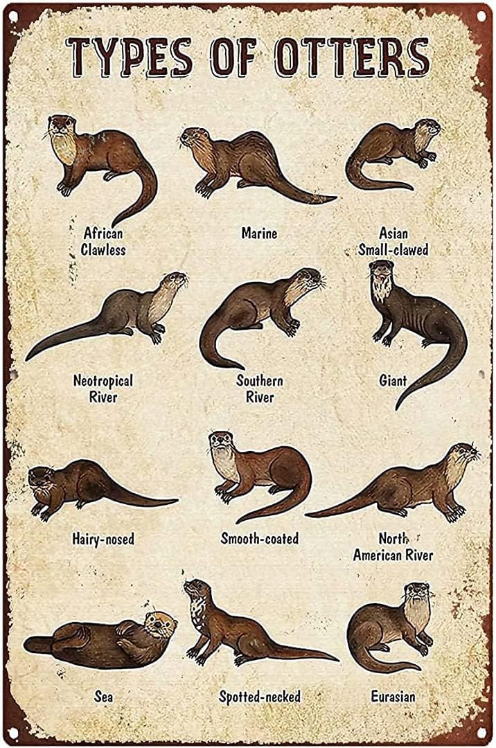 Amazon.co.jp: カワウソの種類 金属装飾プラークサイン にとって