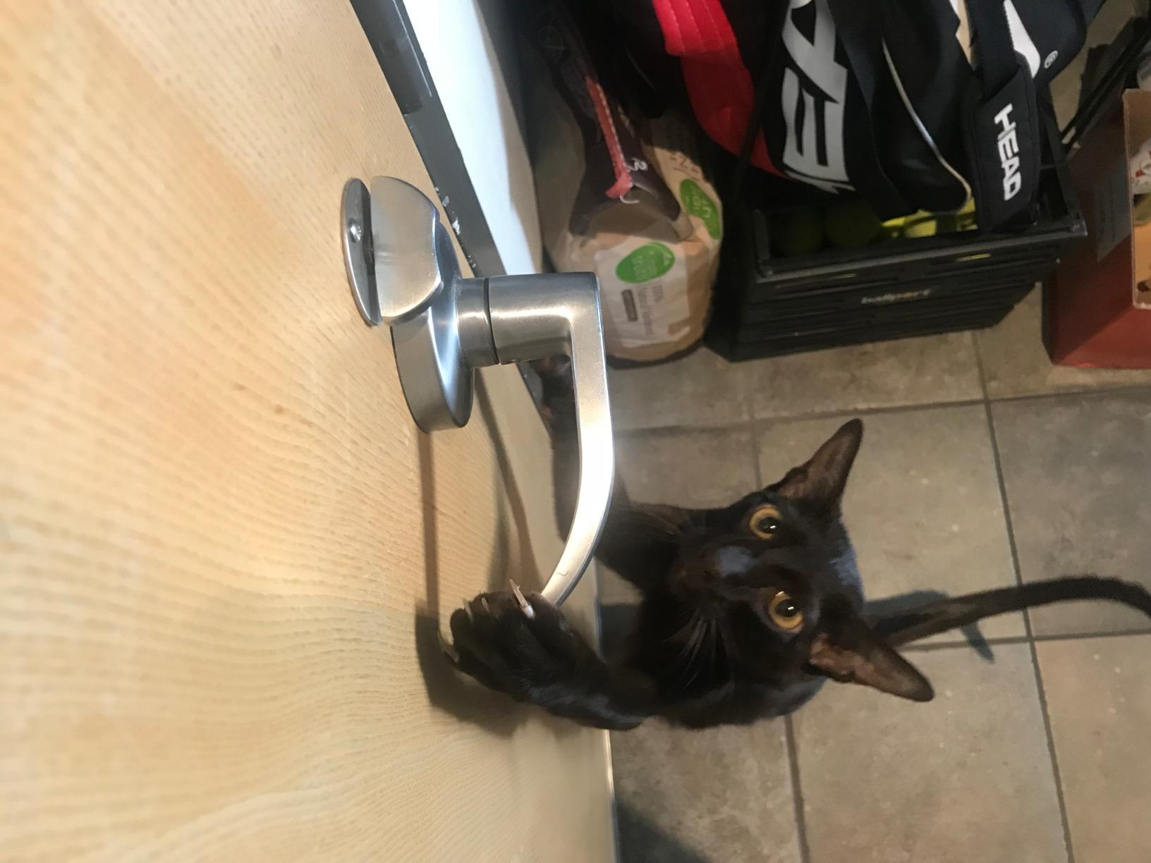 KidCo S353 Door Lever Lock White Indoor Safety Gates Baby