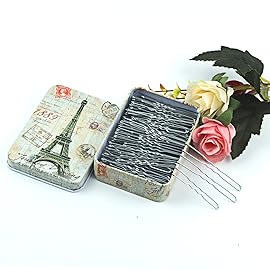 200pcs U Shaped Hair Pins Silver with Cute Case, Hairpins for Buns, Premium Bobby Pins for Kids, Girls and Women, Great for All Hair Types(2.4 & 2 Inch) (Silver)