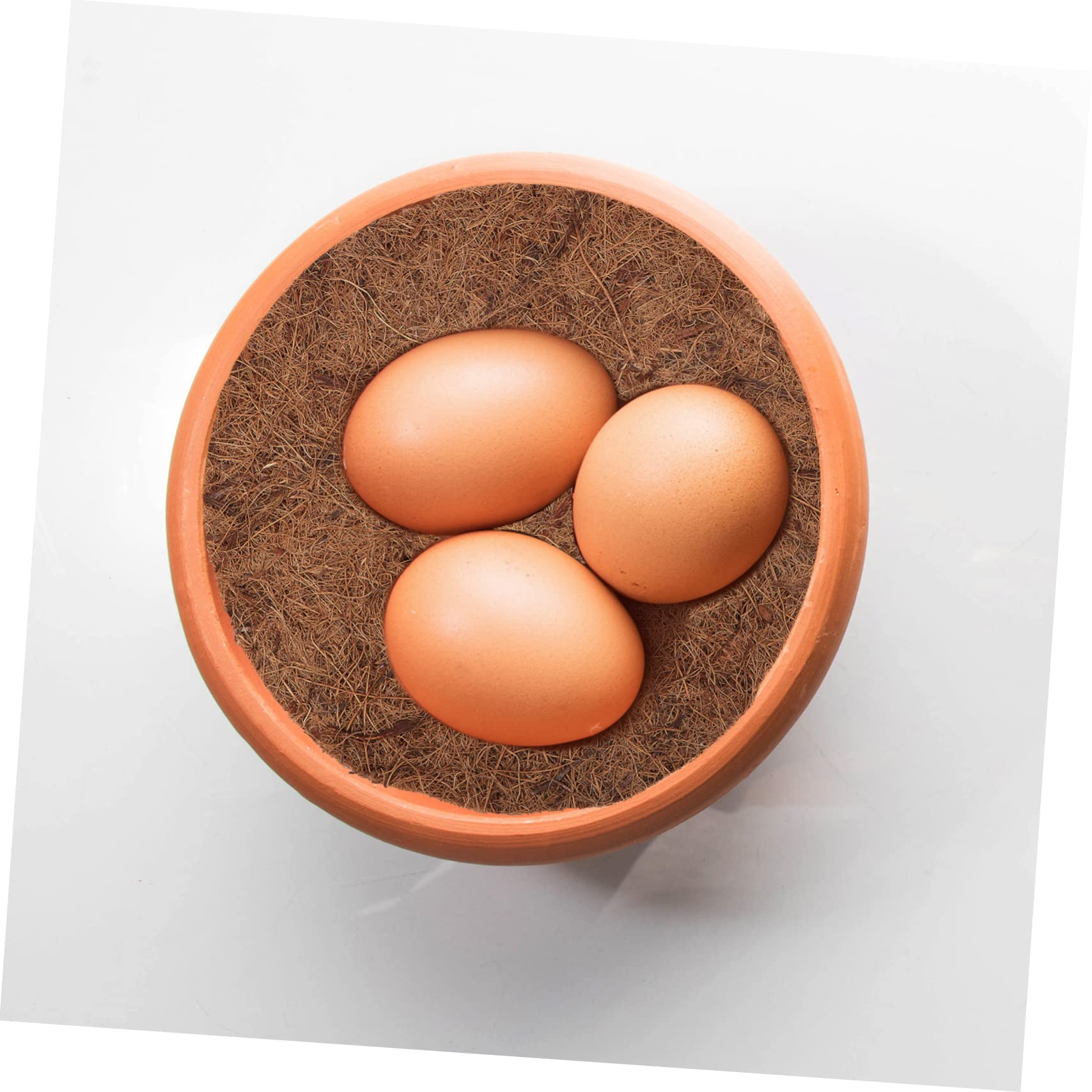 Angoily 12 Piezas Estera de de pájaro Suministros de Cangrejo ermitaño nidales para Palomas Accesorios para nidos de Aves Accesorio de cría de Aves Estera de Huevos de pájaro Manual